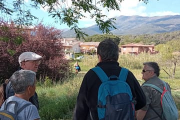 Cohabitatge catalunya